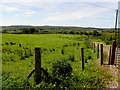 Claghernagh Townland