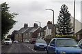 B6096 Hoyland Road and Monkey Puzzle tree