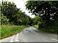TL9256 : Bury Road by Geographer