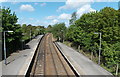 Towards Dilton Marsh and Westbury from Warminster