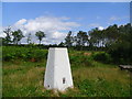 SK3090 : Trig pillar on Loxley Common by steven ruffles
