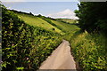 West Somerset  : Week Lane