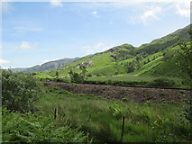 NM8881 : Highland line near Glenfinnan by Jennifer Jones
