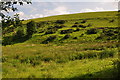 West Somerset : Countryside Scenery