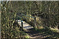 Footbridge over ditch, Icknield Way Path