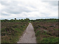 TM4768 : Path through Dunwich Heath by Roger Jones