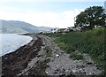 View along the foreshore in the direction of Killowen Point