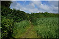 Leeds Country Way towards Scarcroft