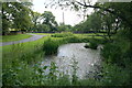 A pond at Bardsey