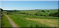 Bridleway and fields west of Hampton Hill Plantation