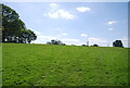 Hillside near Durfold Gill