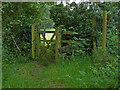 Kissing gate near Wood End