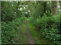 Footpath, Brookside Farm