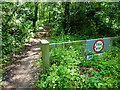 Byway enters woodland going south from bridge over dismantled railway