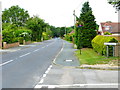 Looking north on White Lane