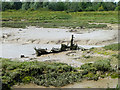 Boat skeleton, Clementsgreen Creek