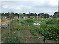 Allotments, Keyworth