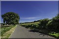 Old Military Road to Gatehouse of Fleet