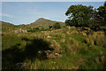 View From Rhyd Ddu