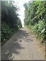 Moor Road - looking towards Canal Lane