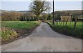 Narrow Kentish lane