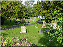 SO1252 : Graveyard, St David's Church, Cregrina, Powys by Christine Matthews