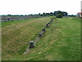 SJ5608 : Ruins of roman columns at Viroconium, Wroxeter by Chris Whippet