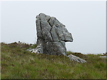NC1720 : Eagle's Head Rock by Sally