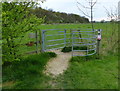 Kissing gate and path to Math Wood