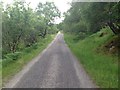 NM6651 : Minor road near Loch Arienas by Steven Brown