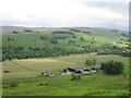 NY7753 : A scene at West Allendale by James Denham