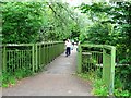 Bridge over The River Carron