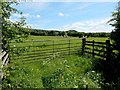 Field gate