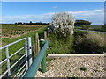 TF0816 : New gate onto farmland at Swallow Hill by Mat Fascione