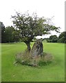 SK3162 : The Cuckoo Stone, Matlock Golf Course by Neil Theasby
