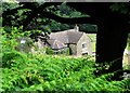 A view of Vernonlane Farm