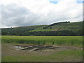 Barley field entrance