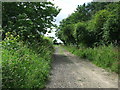 TM3363 : Footpath To Low Road by Keith Evans