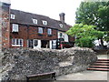 The Parrot, Canterbury