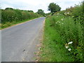 Looking towards East and West Ongley Farms