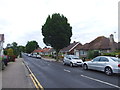 Spenser Road, Herne Bay