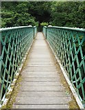 NZ0120 : Footbridge over the River Tees by Anthony Parkes