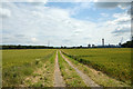 Farm road on east side of A1041