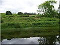 Pond near Comrie Croft