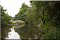 River Devon near Cambus