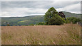 Ruined dovecot and view towards Menstrie 