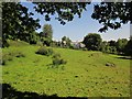 Field and house, Mary Tavy