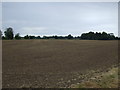 Farmland, Eastholme