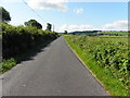 Carnkenny Road, Meaghy