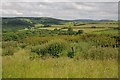 Farmland near Cwmithel